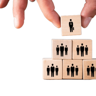 vu Organizational Structure